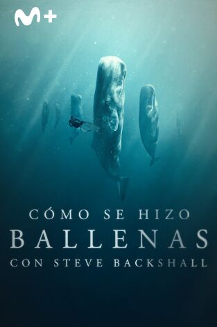 Ballenas con Steve Backshall