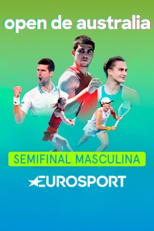 Masculino. Masculino: Djokovic - Sinner