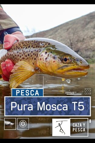 Pura mosca