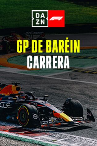 GP de Baréin (Sakhir). GP de Baréin (Sakhir): GP de Baréin: Carrera