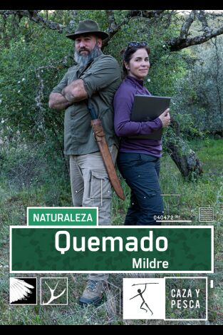 Quemado. T(T1). Quemado (T1): Mildred