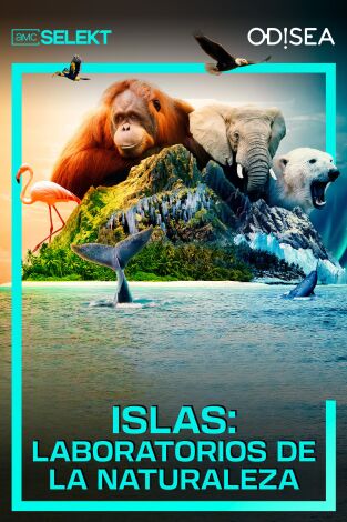 Islas: laboratorios de la naturaleza