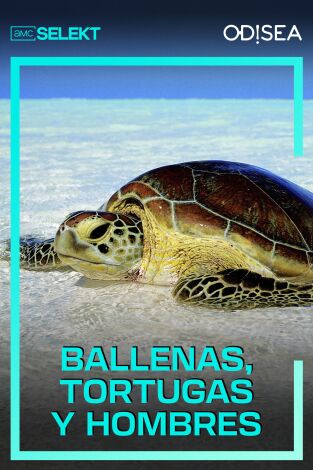 Ballenas/ tortugas y hombres