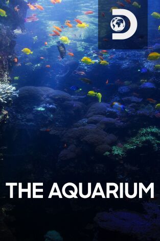 The Aquarium. T(T1). The Aquarium (T1)