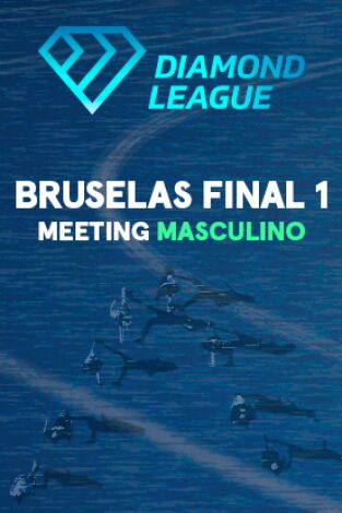 Meeting. Meeting: Bruselas. Final 1