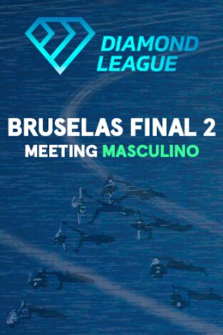 Meeting. Meeting: Bruselas. Final 2