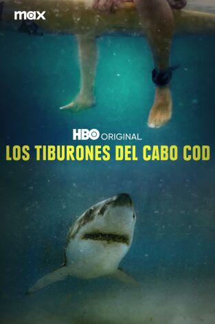 Los tiburones del Cabo Cod