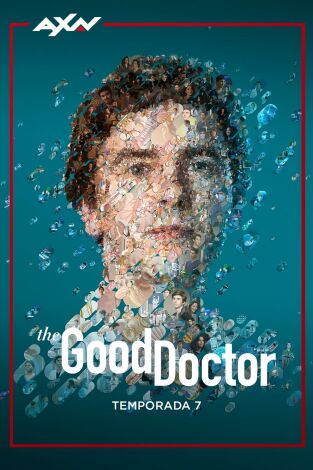 The Good Doctor. T(T7). The Good Doctor (T7)