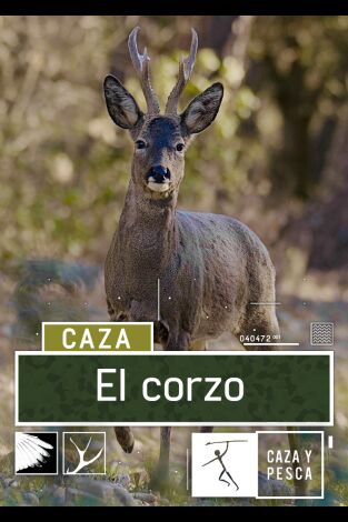 El Corzo. T(T1). El Corzo (T1): Abril