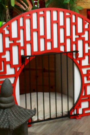 Supercasas para mascotas. T(T1). Supercasas para... (T1): Una cabaña ideal para un perro muy viejo