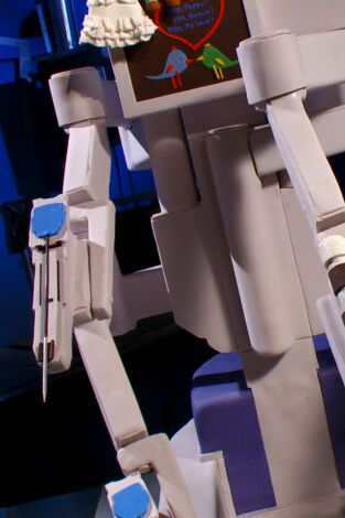 Dulces e increíbles. T(T9). Dulces e increíbles (T9): El feliz cumpleaños de Jimmy John