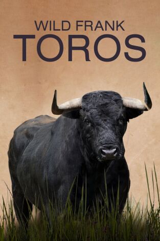 Wild Frank: Toros