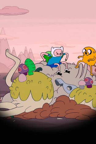 Hora De Aventuras. T(T1). Hora De Aventuras (T1): Su héroe