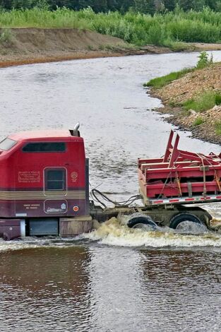 La fiebre del oro. La fiebre del oro: Goldzilla