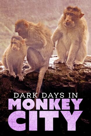 Monkey City, Season 1. Monkey City, Season 1: La invasión de los los Garras Negras