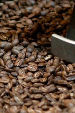 Así se hace. Así se hace: Tostadores de café