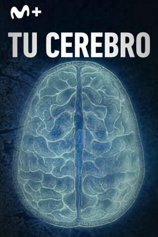 Tu cerebro