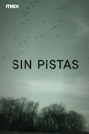 Sin pistas