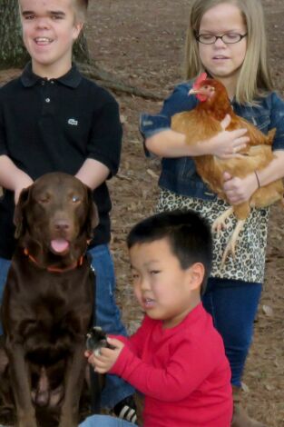 ¡Menuda familia!. ¡Menuda familia!: Una carrera de gallinas