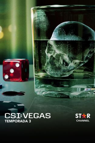 CSI: Vegas. T(T3). CSI: Vegas (T3)