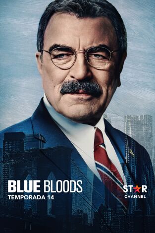 Blue Bloods. T(T14). Blue Bloods (T14): Ep.16 