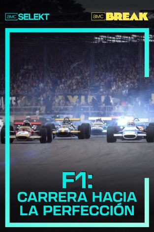 F1: Carrera hacia la perfección. F1: Carrera hacia la perfección 