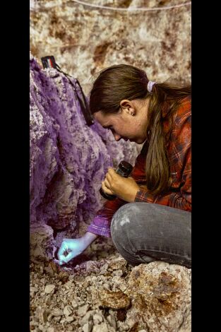 Cazadores de gemas. Cazadores de gemas: Compartido honestamente