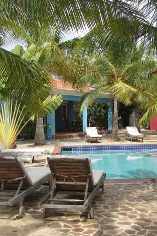 Quiero vivir en el Caribe. T(T12). Quiero vivir en... (T12): Bucear en Bonaire