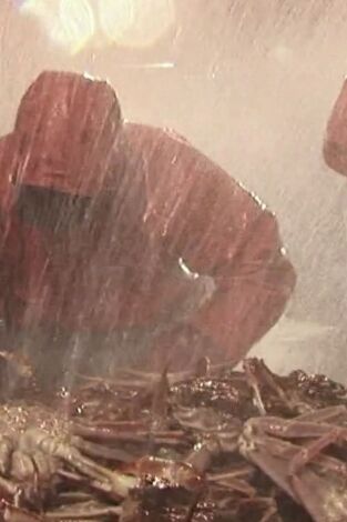 Pesca radical. Pesca radical: Época de tormentas