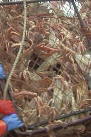 Pesca radical. Pesca radical: Mal tiempo, problemas graves
