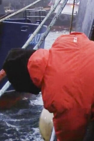 Pesca radical. Pesca radical: Puño a la cara