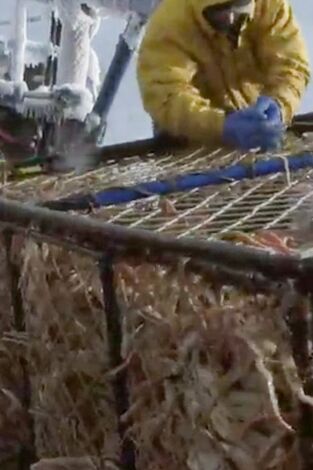 Pesca radical. Pesca radical: Así que quieres ser el propietario de un buque