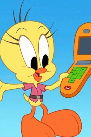 Bugs bunny: ¡Manos a la obra!. T(T1). Bugs bunny:... (T1): La fiesta en el barco