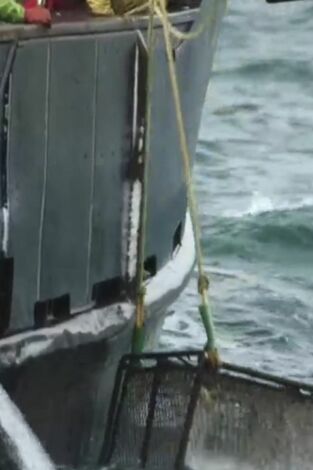 Pesca radical. Pesca radical: Intratable