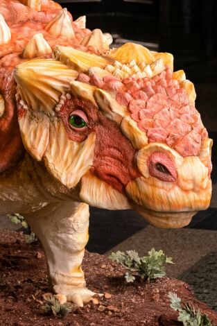Buddy contra Duff. T(T2). Buddy contra Duff (T2): Pastel dinosaurio