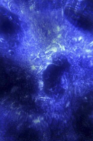 La historia del Universo. La historia del Universo: El enigma de la materia oscura
