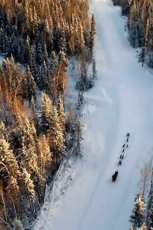 Yukon Men. T(T6). Yukon Men (T6): Tiempo muerto en invierno