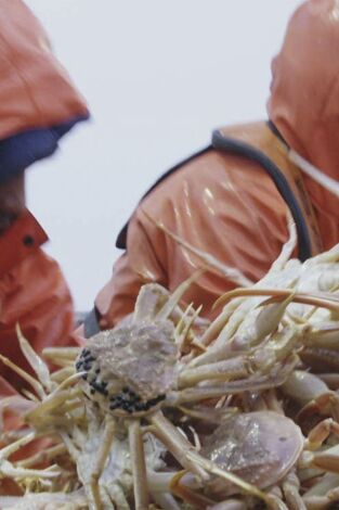 Pesca radical. Pesca radical: La verdad te hará libre