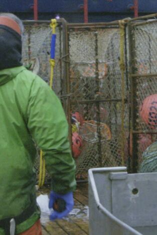Pesca radical. Pesca radical: Sobre el raíl