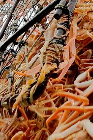 Pesca radical. Pesca radical: El primero de la fila