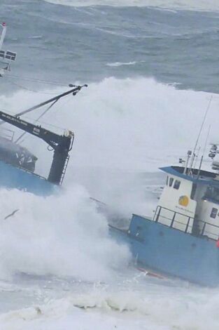 Pesca radical. Pesca radical: El premio definitivo