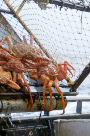 Pesca radical. Pesca radical: Desorden en la frontera