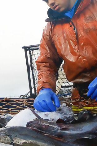 Pesca radical. Pesca radical: Mundo frío y duro