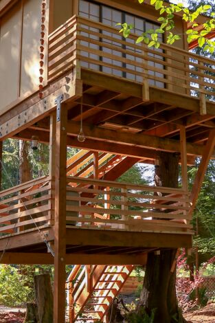 Mi casa en un árbol. T(T2). Mi casa en un árbol (T2): Salón de té japonés en los árboles
