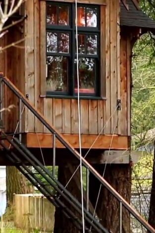 Mi casa en un árbol. T(T2). Mi casa en un árbol (T2): Casa del árbol biónica