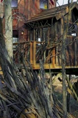 Mi casa en un árbol. T(T5). Mi casa en un árbol (T5): La experiencia Roderick