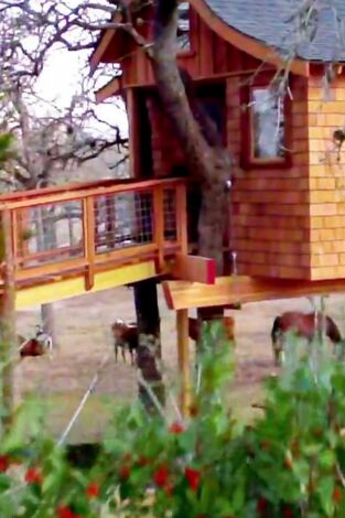 Mi casa en un árbol. T(T1). Mi casa en un árbol (T1): Balneario en las alturas