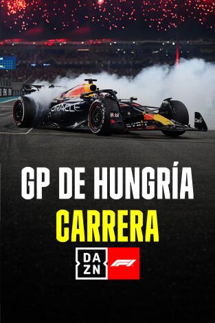 GP de Hungría. GP de Hungría: Carrera