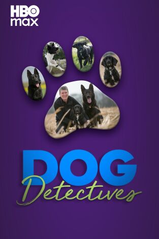 Perros detectives