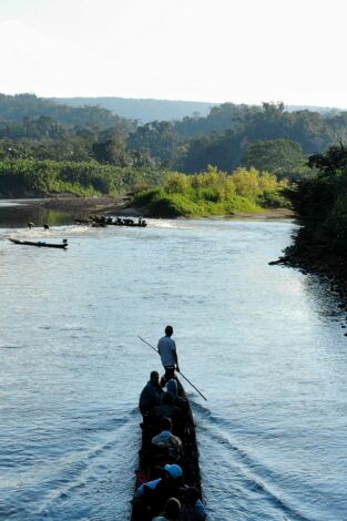 Fish Or Die. Fish Or Die: Bienvenidos a la selva